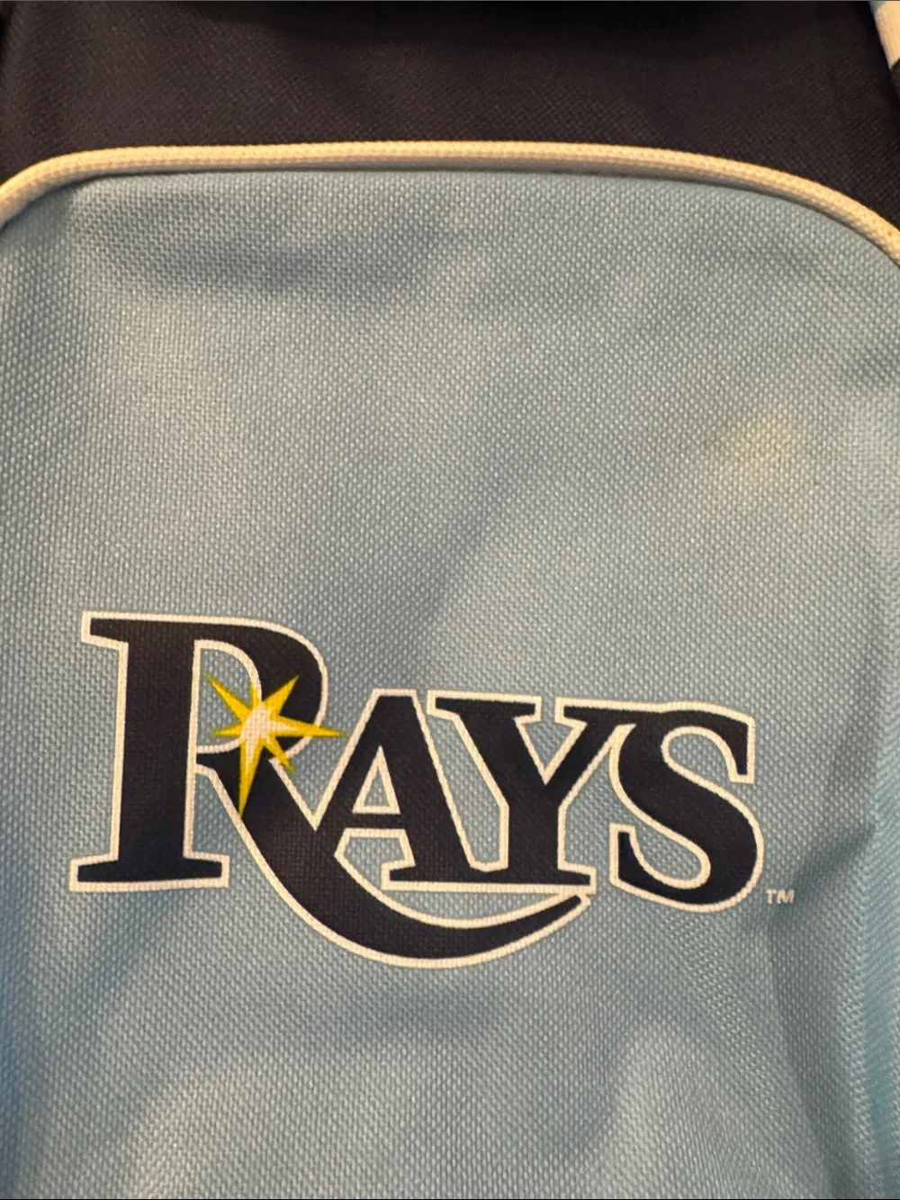 Rays Baseball Cooler Backpack